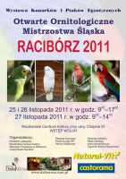 Mistrzostwa Slaska 2011